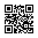 QR CODE 494