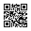 QR CODE 501