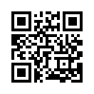 QR CODE 2393