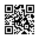 QR CODE 3838