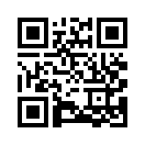 QR CODE 4217