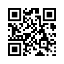 QR CODE 4509