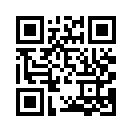 QR CODE 4591