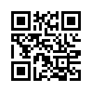QR CODE 132