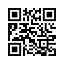 QR CODE 133