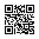 QR CODE 138