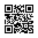 QR CODE 166