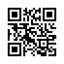 QR CODE 217