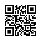 QR CODE 219