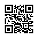 QR CODE 223