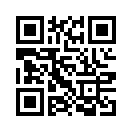 QR CODE 229