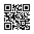 QR CODE 231