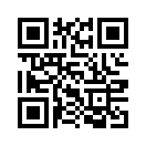 QR CODE 233