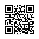 QR CODE 24