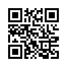 QR CODE 290