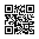 QR CODE 291