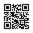 QR CODE 292