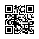 QR CODE 295