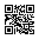 QR CODE 304