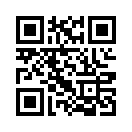 QR CODE 306