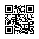QR CODE 307