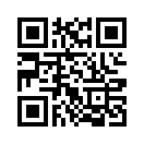 QR CODE 308