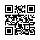 QR CODE 312