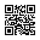QR CODE 313