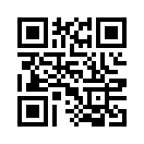 QR CODE 317