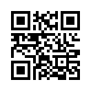 QR CODE 323