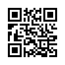 QR CODE 325