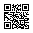 QR CODE 329