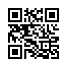 QR CODE 329