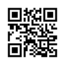 QR CODE 331