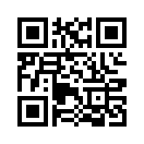QR CODE 335
