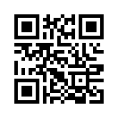 QR CODE 336