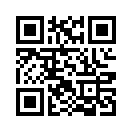 QR CODE 336