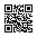 QR CODE 338