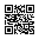 QR CODE 341