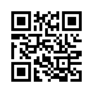 QR CODE 343