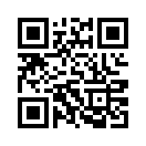 QR CODE 42