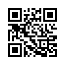 QR CODE 77