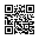 QR CODE 91