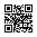 QR CODE 229