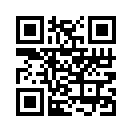 QR CODE 239