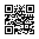 QR CODE 53