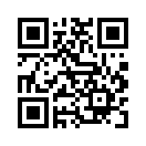QR CODE 110