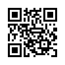 QR CODE 42
