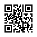 QR CODE 133