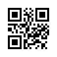 QR CODE 31
